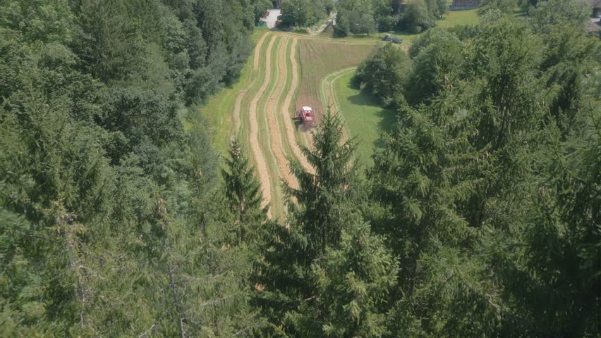 A drone footage over a Combine farmer harvesting wheat on a sunny summer day in Switzerland