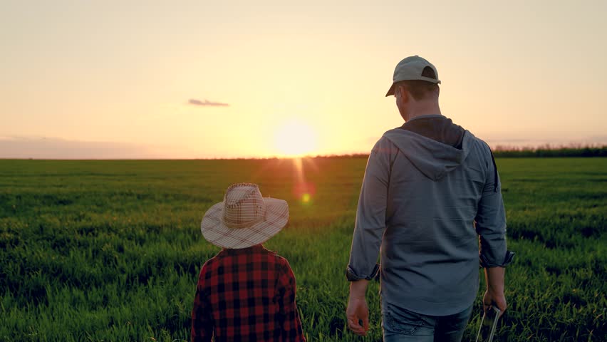 Dad child son hold hands in field. Father, child walk on field, sky sunset. Kid boy, dad go hand in hand, field corn sprouts. Family farming business. Agricultural industry. Growing corn, organic food