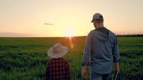 Dad child son hold hands in field. Father, child walk on field, sky sunset. Kid boy, dad go hand in hand, field corn sprouts. Family farming business. Agricultural industry. Growing corn, organic food - Powered by Shutterstock - Get 15% off with code: PIKWIZARD15