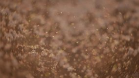 Colorful glitter explosion, changing colors in the air. Slow motion.  - Powered by Shutterstock - Get 15% off with code: PIKWIZARD15