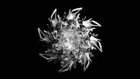 3d rendere black and white video animation surreal symmetry fractal alien flower based curve wavy organic lines forms in white ceramic and silver metal mix material on isolated balck background - Powered by Shutterstock - Get 15% off with code: PIKWIZARD15