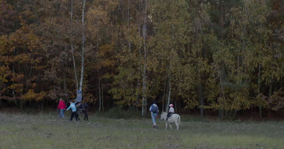 Kids animal therapy. Whole family is savoring nature and taking delightful pony or horse, or donkey rides amid colorful foliage at  autumn day. Emotional healing during equine therapy for kids.
