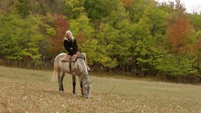 View of pretty girl sitting on horse back. Beautiful landscape.