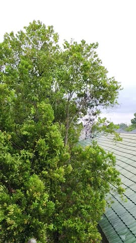 raindrops during the day with cloudy clouds
