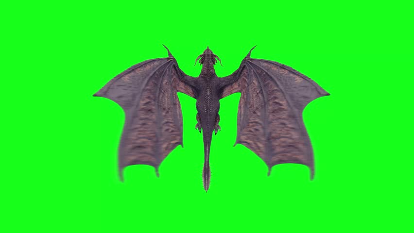 dragon flying looping, green screen effects 4k, Easy editable green screen,Ultra High Definition,background,Dragon Flying, higher quality background,3D Animation