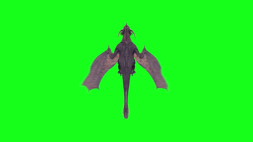 dragon flying looping, green screen effects 4k, Easy editable green screen,Ultra High Definition,background,Dragon Flying, higher quality background,3D Animation
