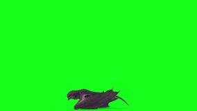 dragon flying to landing, green screen effects 4k, Easy editable green screen,Ultra High Definition,background,Dragon Flying, higher quality background,3D Animation - Powered by Shutterstock - Get 15% off with code: PIKWIZARD15