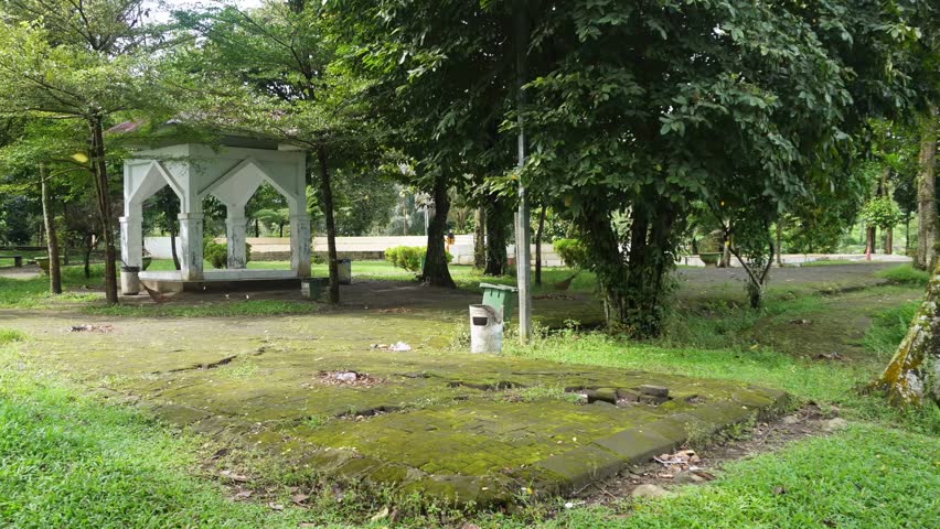 Windy Weather with Fallen Leaves in Green Park