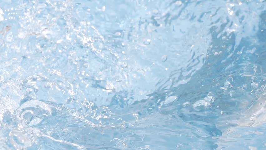 Shutterstock Video