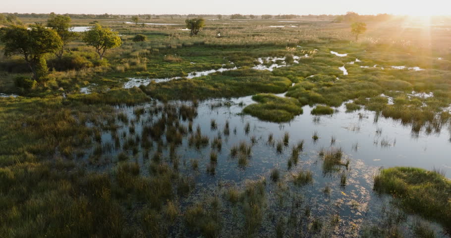 High aerial fly over view tilt-up of the beautiful waterways and lagoons of the Okavango Delta at sunset