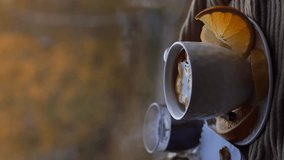 Cup of tea with citrus fruits, candle is fading. Cozy home autumn background. Having cup of tea near the window. Vertical video - Powered by Shutterstock - Get 15% off with code: PIKWIZARD15