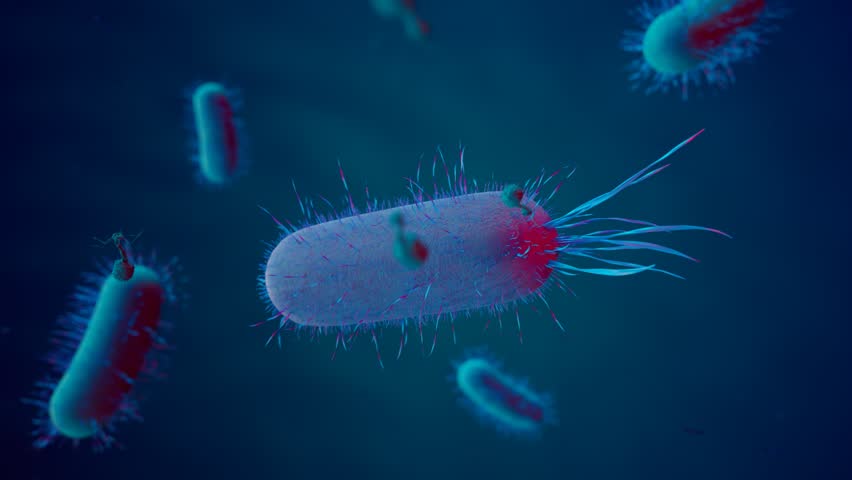 Animation with bacteriophages attacking bacteria cells. Perfect for medical and healthcare purposes. High-scale magnification. Molecular structure of a living organism. Render 4K