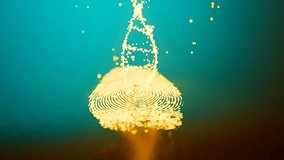 DNA information is gathered from a single fingerprint. Glowing yellow particles rise from the fingerprint and then form a helix. Seamless looping animation. Colorful illustration of forensics science. - Powered by Shutterstock - Get 15% off with code: PIKWIZARD15