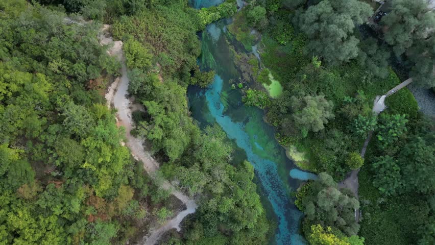 Aerial drone view captures the tranquil flow of the Blue Eye River, winding gracefully through lush greenery and pristine nature, offering a breathtaking scenic experience.