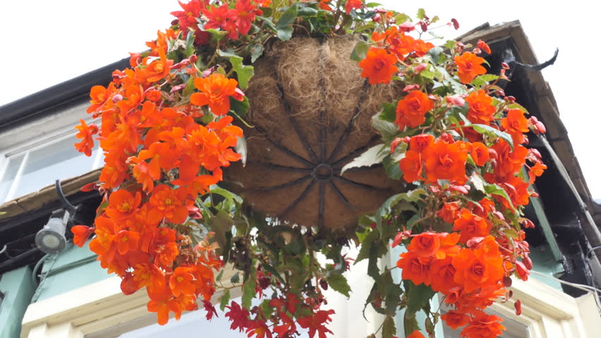 A beautiful flower basket hanging off a shop entrance.