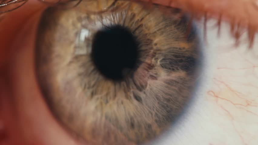 Macro photo of a detailed blue eye with strong gaze, showing human anatomy and beauty