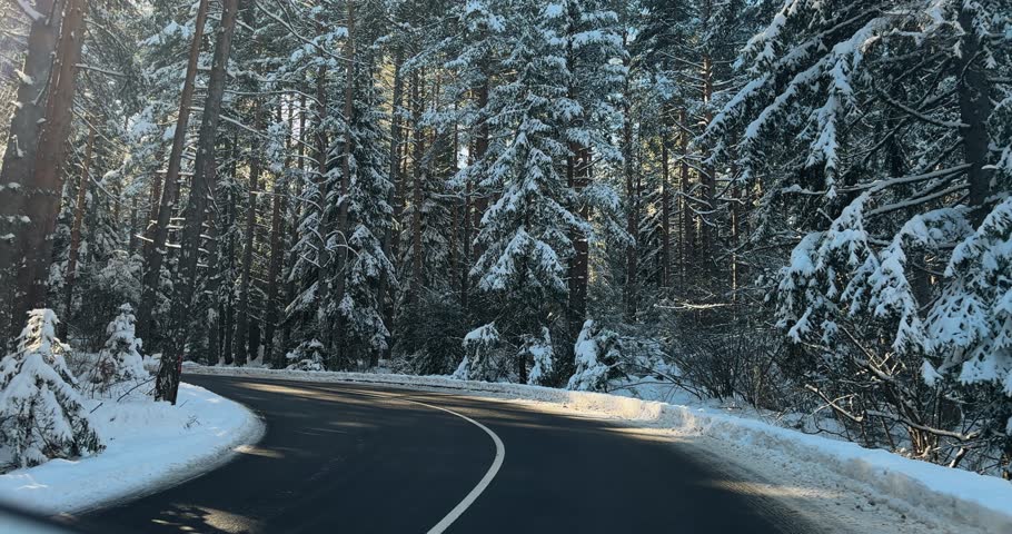 Scenic winter drive along a winding forest road at sunrise. Snow covered trees and sunlight streaming through the branches of amazing forest with evergreen pine trees
