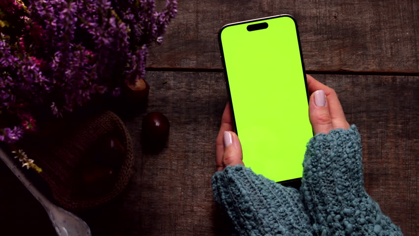 Female hands holding a smartphone with a green screen mockup, placed on a rustic wooden table with lavender flowers and chestnuts. Swipe with thumb. for apps, websites or promo content. Autumn setup.