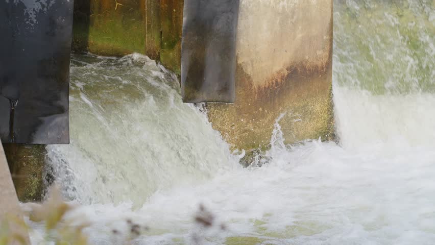 Salmon leap up a man-made ladder against flowing water, captured in slow motion