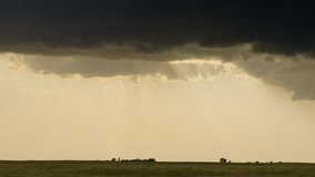 Clearing storm clouds drift above gently swaying wheat fields as sun rays break through, casting a golden glow across the serene landscape. - Powered by Shutterstock - Get 15% off with code: PIKWIZARD15