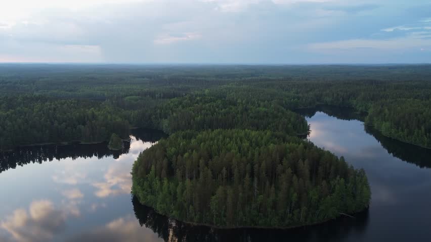 Nature landscape aerial: Mist to horizon over vast northern forest