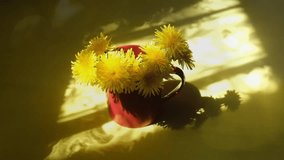 Red cup with fresh summer flower dandelions and incident sunset light from  window moves along table, shadow of  window curtains. Light flares. Fresh breeze blows through the open window - Powered by Shutterstock - Get 15% off with code: PIKWIZARD15