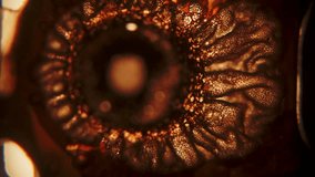 A dramatic slow-motion footage of a film strip as it slowly disintegrates in flames, showcasing vibrant colors and intricate details of the burning process - Powered by Shutterstock - Get 15% off with code: PIKWIZARD15