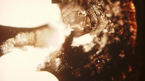 An 8mm film strip ignites and disintegrates into fiery fragments, with flames consuming the material as it warps and splits apart in a vivid, vintage display - Powered by Shutterstock - Get 15% off with code: PIKWIZARD15