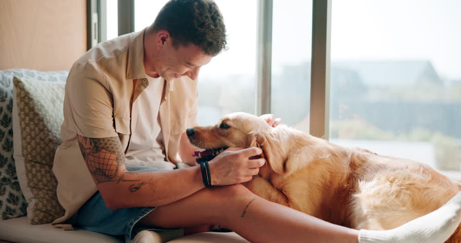 Relax, sofa and man with dog in apartment for safety, companion and security with connection. Happy, rest and male person rub puppy, pet or animal with love, care and bonding in living room at home.