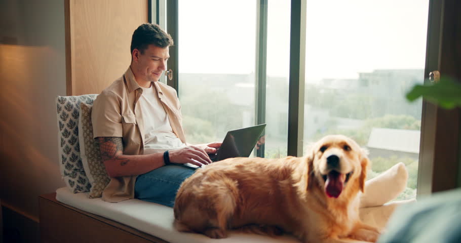 Laptop, sofa and man with dog in home for companionship with remote work for freelance career. Happy, relax and person rub puppy, pet or animal with love, care and bonding in living room at house.