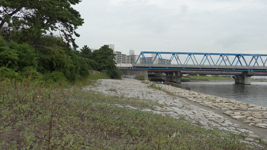 Kasai Rinkai Park, Japan Tokyo November 2024