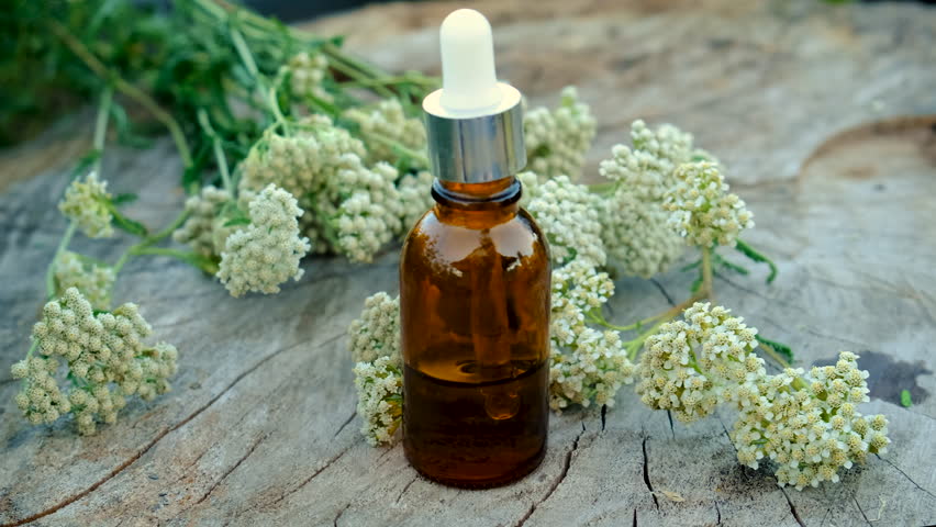 Yarrow extract in a bottle. Selective focus.