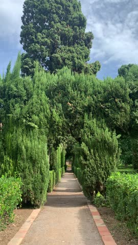 Walking Through a Lush Green Garden Path on a Sunny Day