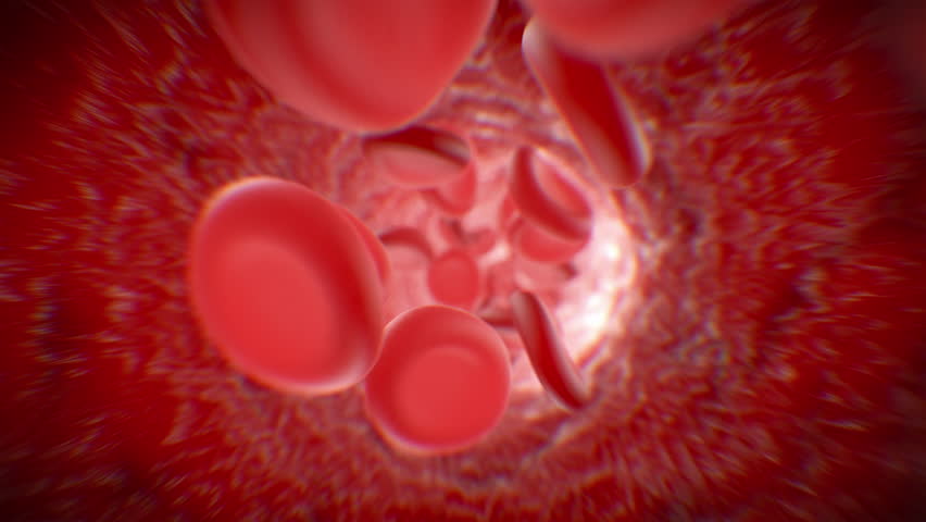 Blood Cells Flowing Inside Realistic Blood Vessel Seamless Close-up. Vein Micro Illustration. Beautiful Flight Through Human Artery Looped 3d Animation. Futuristic Medical Technology Concept 4k.