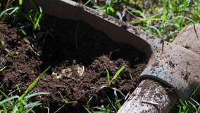 Person’s hand uncovering a shiny golden bitcoin from soil - Powered by Shutterstock - Get 15% off with code: PIKWIZARD15