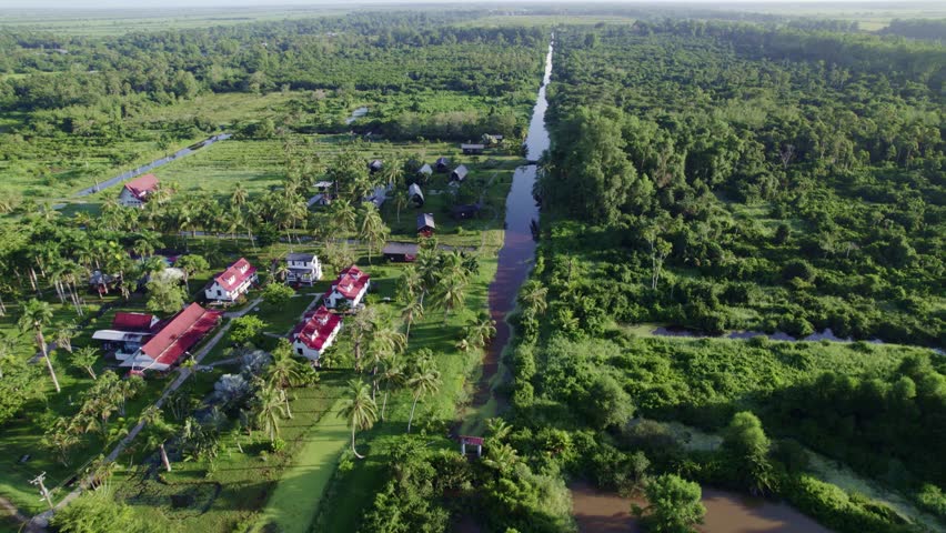 Water way in the jungle between thick forest trees and village houses, frederiksdorp