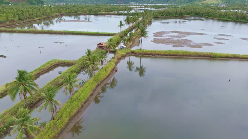 Aerial view of shrimp farms surrounded by water and palm trees in Sabang, Surigao City, Philippines