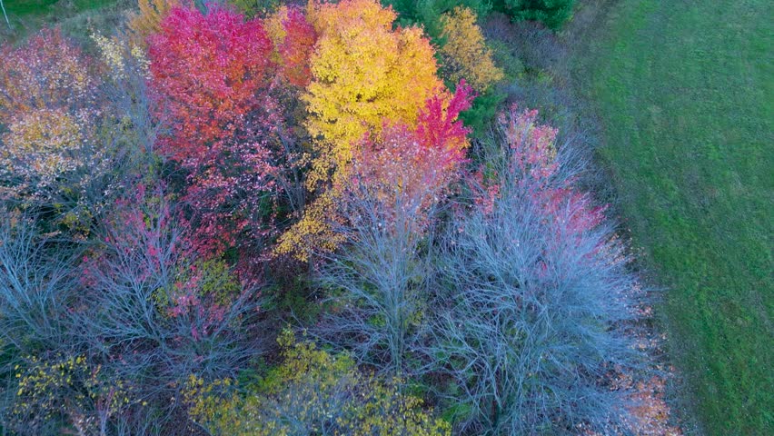 Beautiful fall colors during October in west central Wisconsin seen from above with a drone