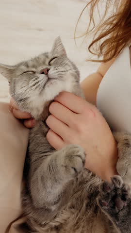 Woman gently strokes her cat beneath its chin. The cat lies on its back, eyes closed and mouth slightly open, displaying a blissful expression