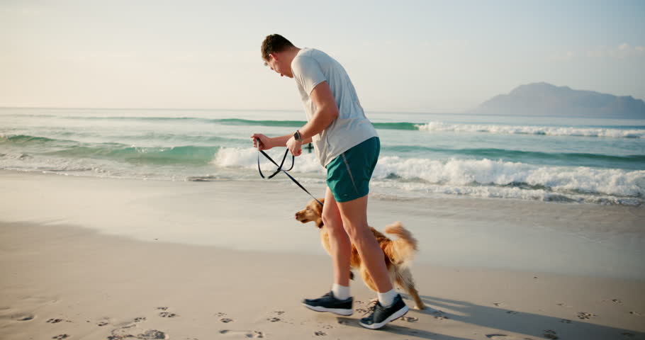 Man, fitness and running with dog on beach for sprint, race or bonding together in nature. Young, male person or owner with pet animal or canine for jog or walk on sandy shore by waves or ocean coast