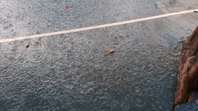 Blurred video background of rain falling in a school field, heavy rain, raindrops, rainy season, tropical countries - Powered by Shutterstock - Get 15% off with code: PIKWIZARD15