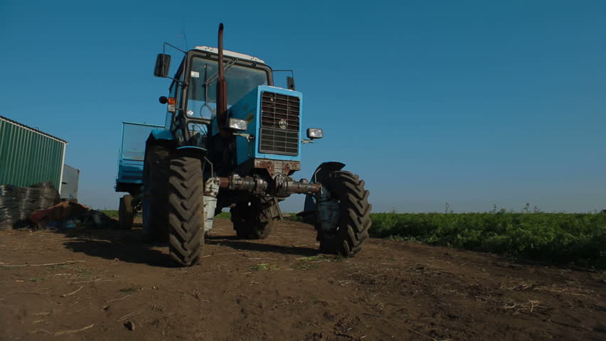 Tractor standing near carrot field.