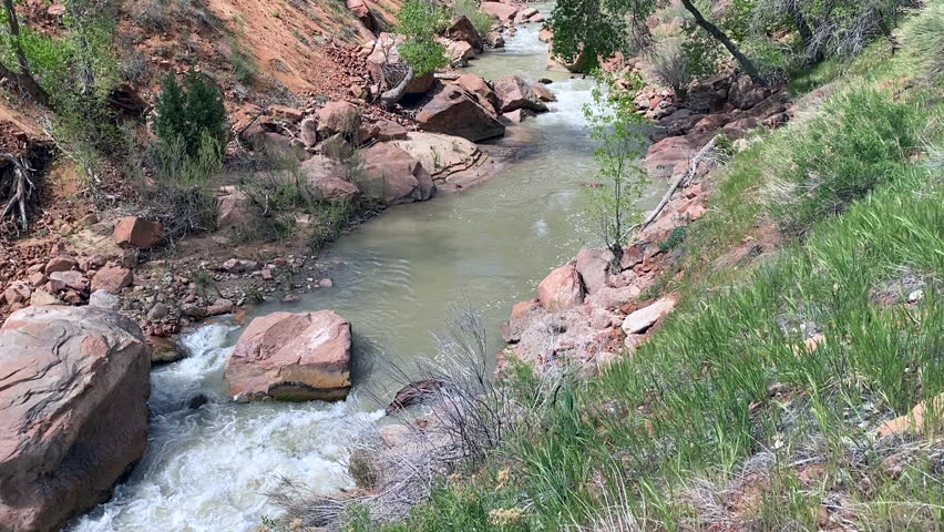The beautiful nature in Zion National Park, Utah, with its red, rugged rock faces. Perfect for relaxing in the tranquillity of nature on a hike.