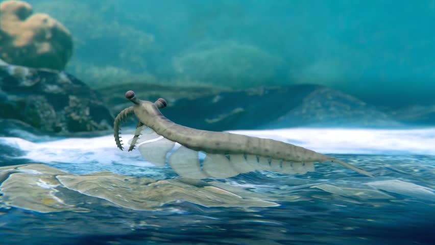 An animation of the extinct prehistoric species Anomalocaris on a Cambrian Period seafloor (541 to 485 million years ago).