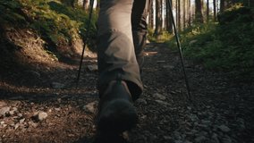 Close-up back following gimbal shot male hiker tourist in trekking shoes going up along stone path trail in mountain forest using trekking poles. Man hiking in woods walks rocky footpath on sunny day - Powered by Shutterstock - Get 15% off with code: PIKWIZARD15
