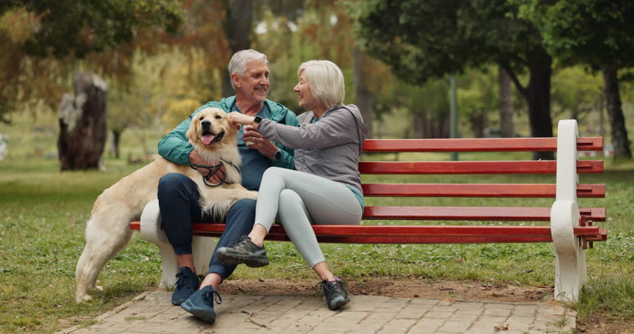 Mature, couple and dog on bench at park with conversation, playing and kissing for affection and companion. Senior people, golden retriever and relax in nature with bonding, loyalty and fitness break