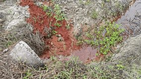 brown or reddish rusty-colored stains on the drying up puddle soil surface. 
 - Powered by Shutterstock - Get 15% off with code: PIKWIZARD15