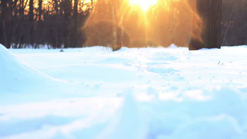 Black young labrador run through deep snow. 1080p. Royalty-Free Stock Footage #3638924