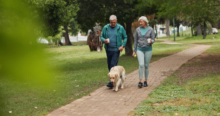 Senior couple, dog and walking in park with coffee, care and love in morning with smile for chat. Mature man, woman and pet animal with conversation, drink or exercise on path for wellness in England
