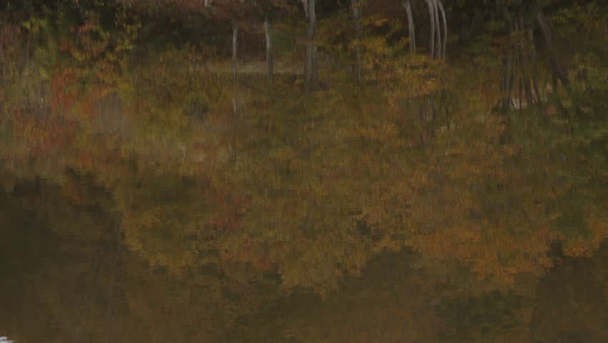 Colorful autumn leaves and a lake reflecting the autumn leaves on a cloudy day